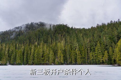 新三板開戶條件個(gè)人