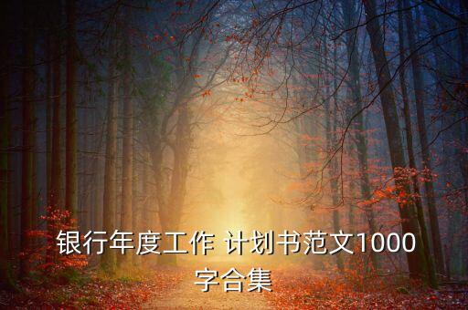 銀行副行長三年工作計劃,銀行消費者權(quán)益保護工作計劃
