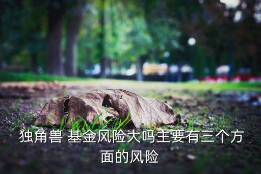 矩大獨角獸基金,獨角獸基金現(xiàn)在怎么樣了