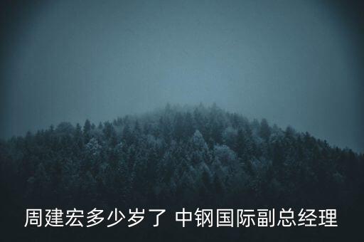 周建宏多少歲了 中鋼國際副總經理