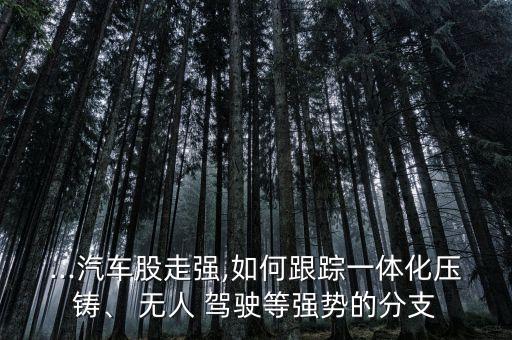 ...汽車股走強,如何跟蹤一體化壓鑄、 無人 駕駛等強勢的分支