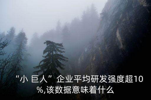 “小 巨人”企業(yè)平均研發(fā)強(qiáng)度超10%,該數(shù)據(jù)意味著什么