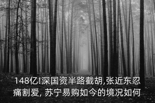 148億!深國資半路截胡,張近東忍痛割愛, 蘇寧易購如今的境況如何