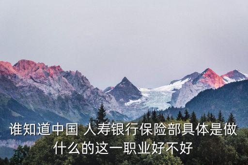 誰(shuí)知道中國(guó) 人壽銀行保險(xiǎn)部具體是做什么的這一職業(yè)好不好