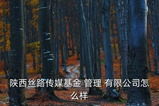 陜西絲路傳媒基金 管理 有限公司怎么樣