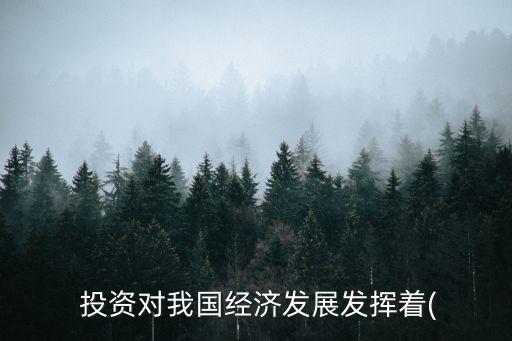  投資對我國經(jīng)濟(jì)發(fā)展發(fā)揮著(