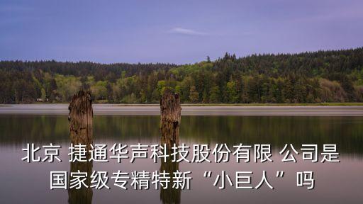 北京 捷通華聲科技股份有限 公司是國(guó)家級(jí)專(zhuān)精特新“小巨人”嗎