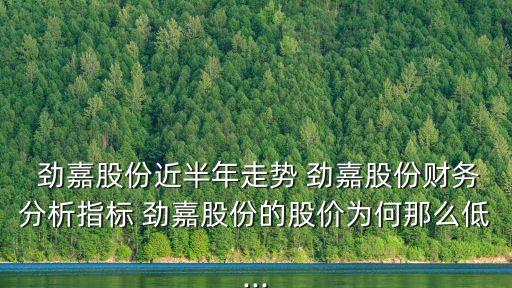 深圳勁嘉彩印集團(tuán)股份有限公司怎么樣,喬魯豫 深圳勁嘉集團(tuán)股份有限公司