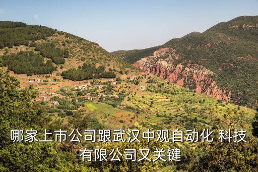 哪家上市公司跟武漢中觀自動(dòng)化 科技 有限公司又關(guān)鍵