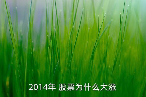 2014年 股票為什么大漲