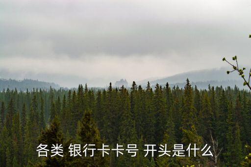 各類 銀行卡卡號(hào) 開頭是什么