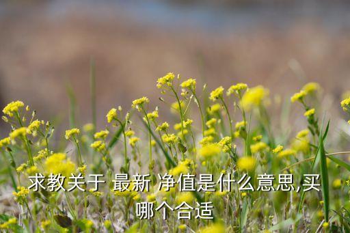 基金290002的最新凈值,泰信先行策略基金凈值290002今日開(kāi)盤
