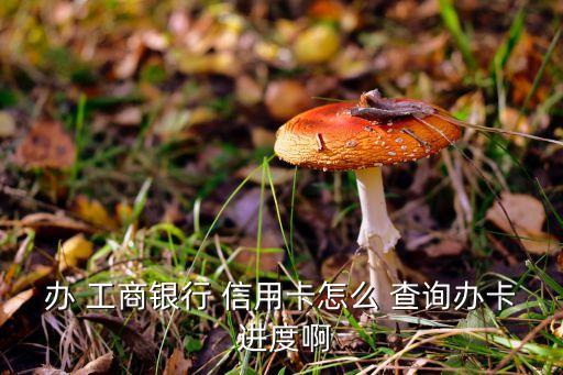 辦 工商銀行 信用卡怎么 查詢辦卡 進(jìn)度啊