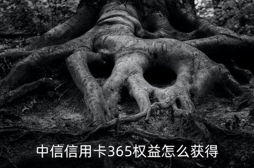 中信信用卡365權(quán)益怎么獲得