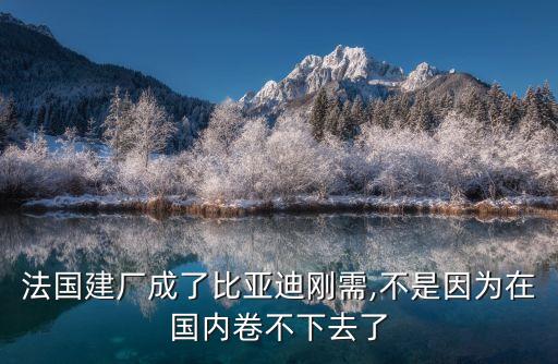 法國建廠成了比亞迪剛需,不是因為在國內卷不下去了
