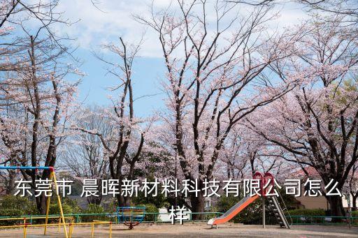 東莞市 晨暉新材料科技有限公司怎么樣