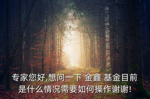 專家您好,想問(wèn)一下 金鑫 基金目前是什么情況需要如何操作謝謝!