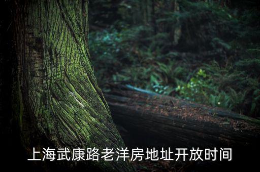上海武康路老洋房地址開放時間