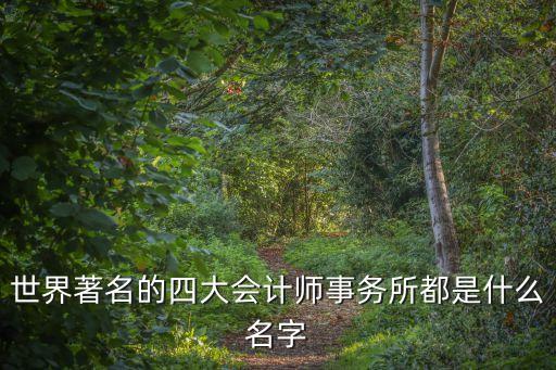 世界著名的四大會計(jì)師事務(wù)所都是什么名字