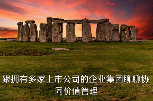 跟擁有多家上市公司的企業(yè)集團(tuán)聊聊協(xié)同價值管理