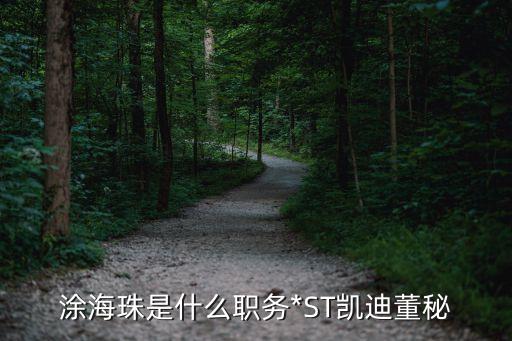 涂海珠是什么職務*ST凱迪董秘