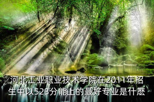 河北工業(yè)職業(yè)技術(shù)學院在2011年招生中以523分能上的最好專業(yè)是什麼