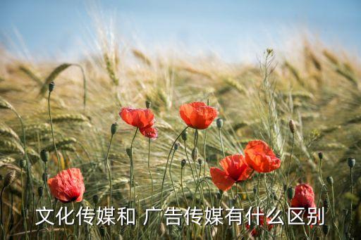 文化傳媒和 廣告?zhèn)髅接惺裁磪^(qū)別
