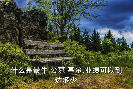 什么是最牛 公募 基金,業(yè)績(jī)可以到達(dá)多少
