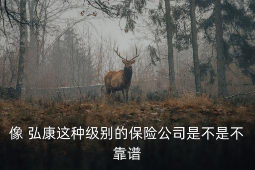 像 弘康這種級別的保險(xiǎn)公司是不是不靠譜