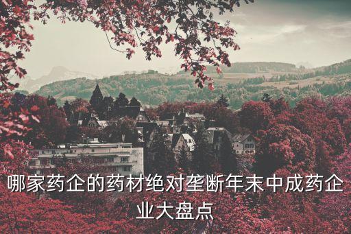哪家藥企的藥材絕對(duì)壟斷年末中成藥企業(yè)大盤(pán)點(diǎn)