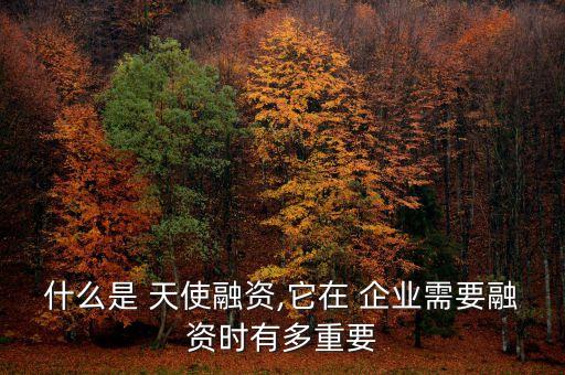 什么是 天使融資,它在 企業(yè)需要融資時(shí)有多重要
