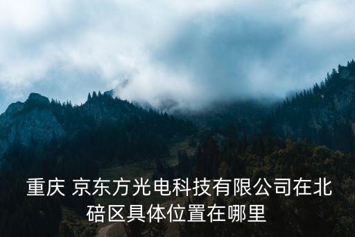 京東方重慶投資,重慶京東方到底好不好
