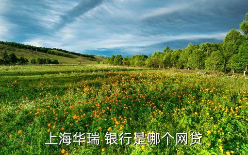 上海華瑞 銀行是哪個(gè)網(wǎng)貸