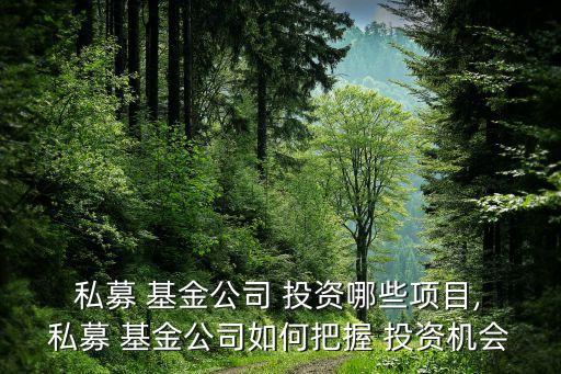  私募 基金公司 投資哪些項(xiàng)目, 私募 基金公司如何把握 投資機(jī)會
