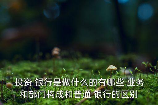 投資銀行業(yè)務創(chuàng)新