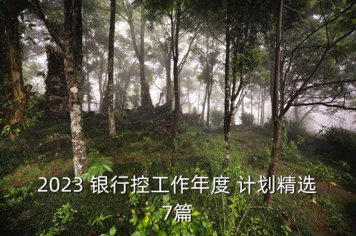 2023 銀行控工作年度 計(jì)劃精選7篇