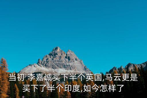 李嘉誠的投資風(fēng)格,虎門大橋是不是李嘉誠投資的
