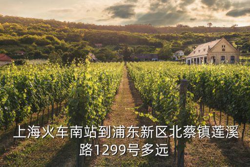  上?；疖嚹险镜狡謻|新區(qū)北蔡鎮(zhèn)蓮溪路1299號(hào)多遠(yuǎn)