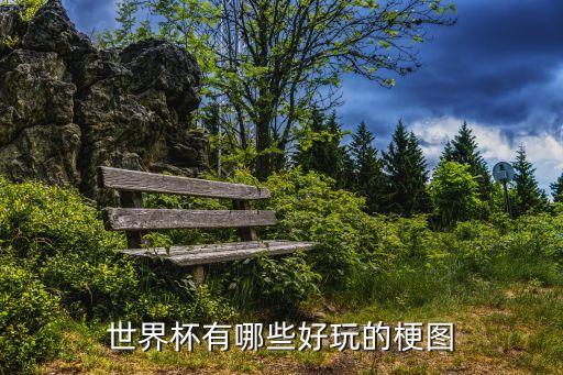世界杯有哪些好玩的梗圖