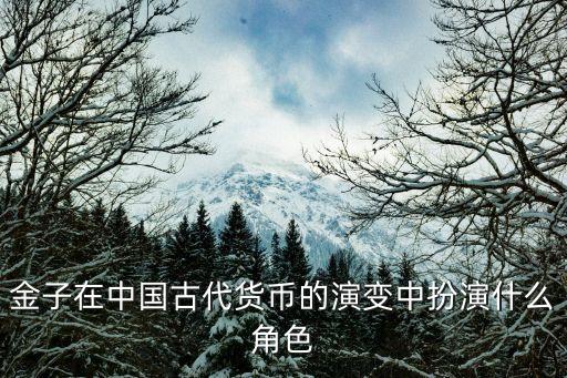 金子在中國古代貨幣的演變中扮演什么角色