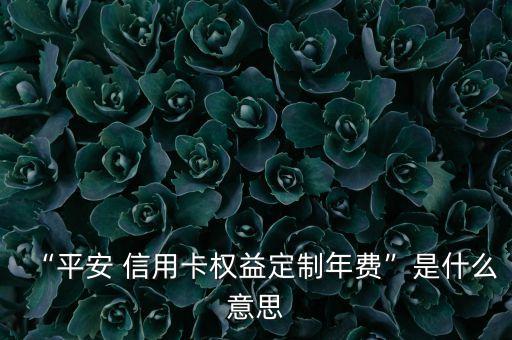 建設(shè)銀行曼聯(lián)信用卡申請,申請建設(shè)銀行信用卡需要什么條件