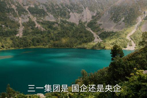  三一集團是 國企還是央企
