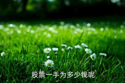  股票一手為多少錢呢