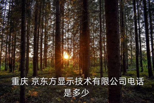  重慶 京東方顯示技術(shù)有限公司電話是多少