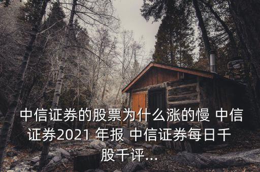 中信集團(tuán)年報