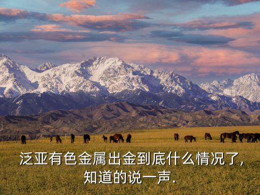  泛亞有色金屬出金到底什么情況了,知道的說一聲.