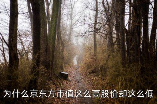 為什么京東方市值這么高股價卻這么低