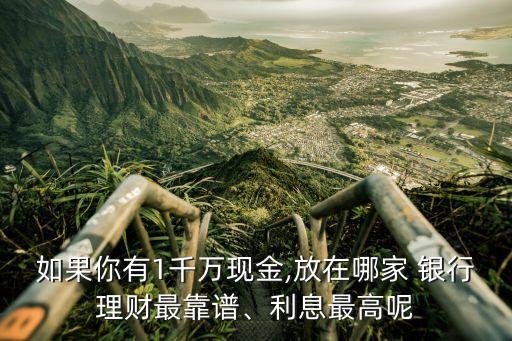 如果你有1千萬現(xiàn)金,放在哪家 銀行理財(cái)最靠譜、利息最高呢