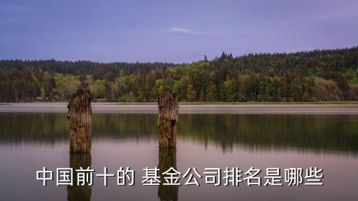 2013年基金業(yè)績(jī)排行榜,公募基金排名前十名業(yè)績(jī)排行榜