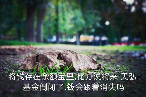 將錢存在余額寶里,比方說將來 天弘 基金倒閉了.錢會(huì)跟著消失嗎